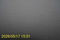 Img20260517_153128.jpg