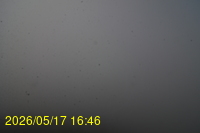 Img20260517_164629.jpg