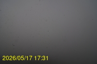 Img20260517_173129.jpg