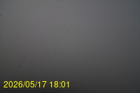 Img20260517_180129.jpg