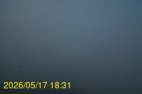 Img20260517_183129.jpg