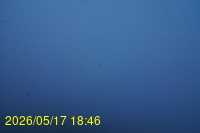 Img20260517_184629.jpg