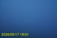 Img20260517_190129.jpg