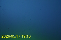 Img20260517_191629.jpg