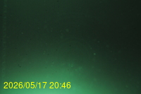 Img20260517_204629.jpg