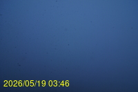 Img20260519_034634.jpg