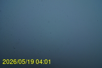 Img20260519_040134.jpg