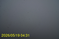 Img20260519_043134.jpg