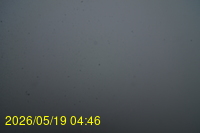 Img20260519_044634.jpg