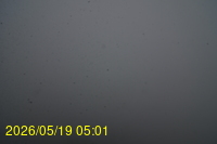 Img20260519_050134.jpg