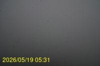 Img20260519_053134.jpg