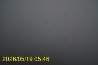 Img20260519_054634.jpg