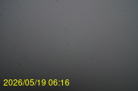Img20260519_061634.jpg