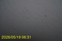 Img20260519_063134.jpg