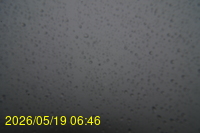 Img20260519_064634.jpg