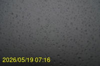 Img20260519_071634.jpg