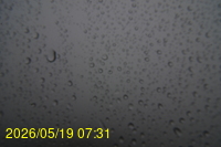 Img20260519_073134.jpg