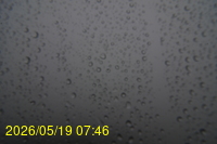 Img20260519_074634.jpg