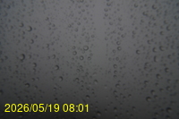 Img20260519_080134.jpg