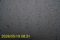 Img20260519_083134.jpg