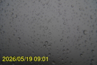 Img20260519_090134.jpg
