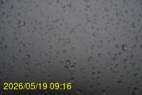 Img20260519_091634.jpg