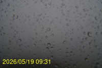 Img20260519_093134.jpg