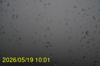 Img20260519_100135.jpg