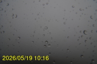 Img20260519_101635.jpg