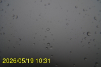Img20260519_103135.jpg