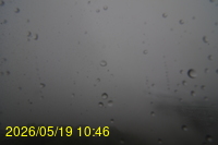 Img20260519_104635.jpg