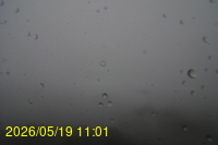 Img20260519_110135.jpg