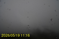 Img20260519_111635.jpg