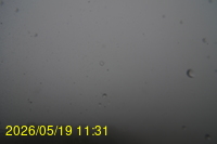 Img20260519_113135.jpg