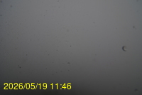 Img20260519_114635.jpg