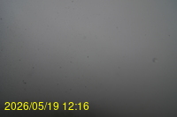 Img20260519_121635.jpg