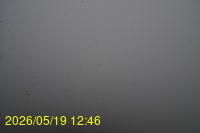 Img20260519_124635.jpg