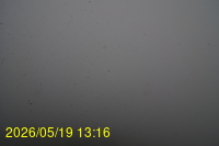 Img20260519_131635.jpg