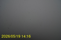 Img20260519_141635.jpg