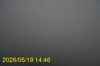 Img20260519_144635.jpg