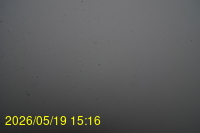 Img20260519_151635.jpg