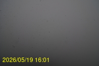 Img20260519_160135.jpg