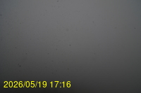 Img20260519_171636.jpg