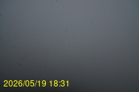 Img20260519_183136.jpg