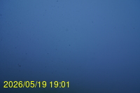 Img20260519_190136.jpg