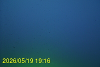 Img20260519_191636.jpg