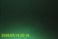 Img20260519_201636.jpg