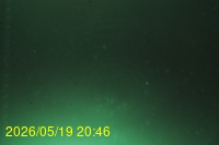 Img20260519_204636.jpg