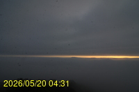 Img20260520_043137.jpg
