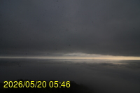 Img20260520_054637.jpg